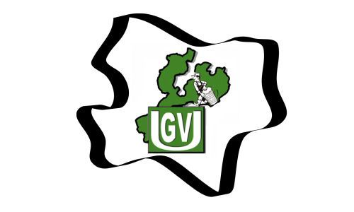 GVU_Logo_HP.jpg